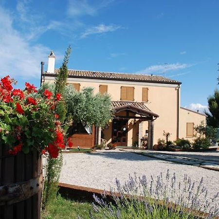Briciola Di Sole Pension Grottammare Buitenkant foto