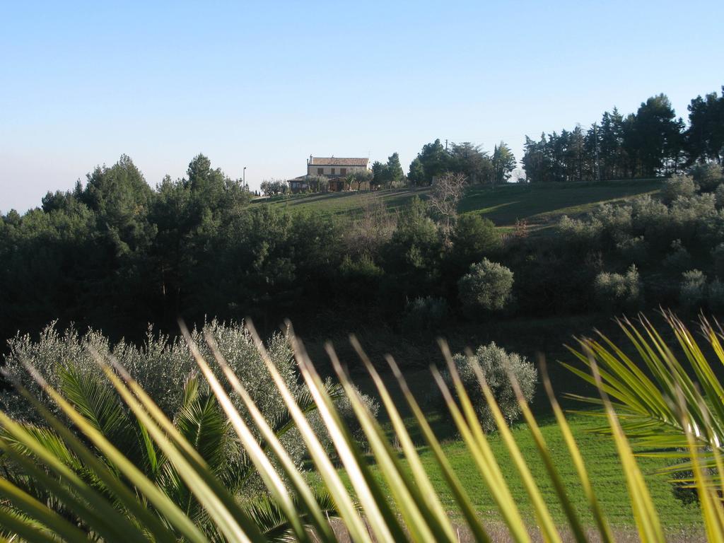 Briciola Di Sole Pension Grottammare Buitenkant foto