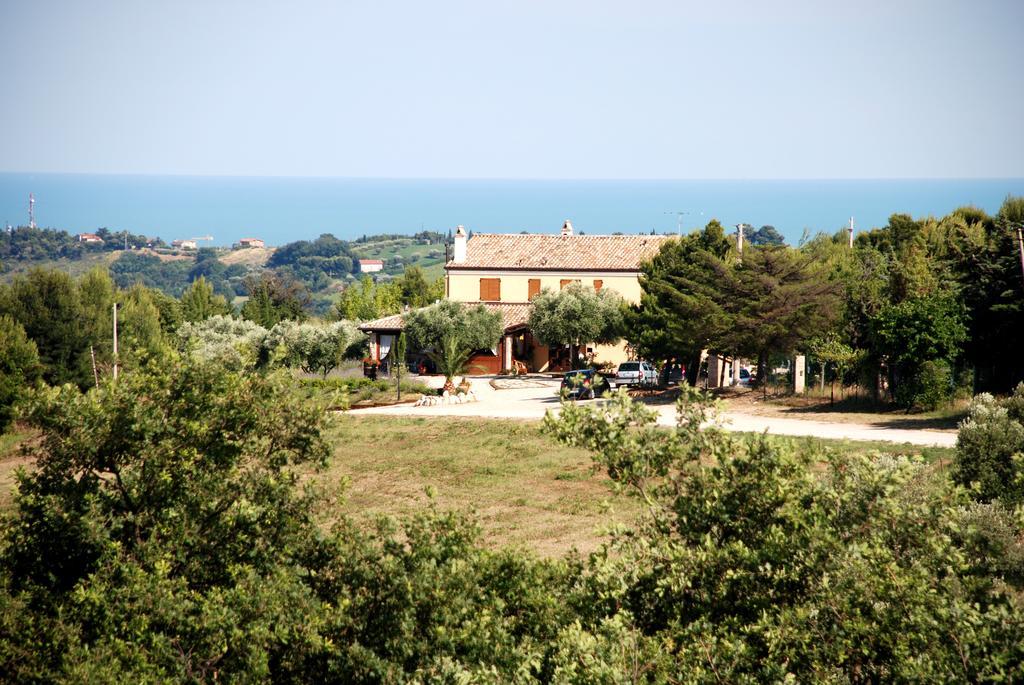 Briciola Di Sole Pension Grottammare Buitenkant foto